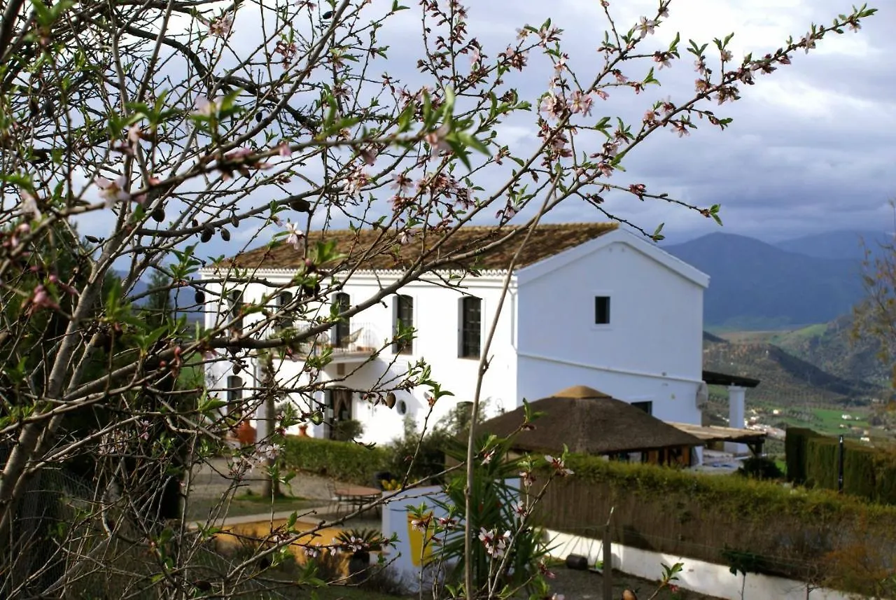 La Sorpresa Bed and Breakfast Valle de Abdalagís Bed & Breakfast